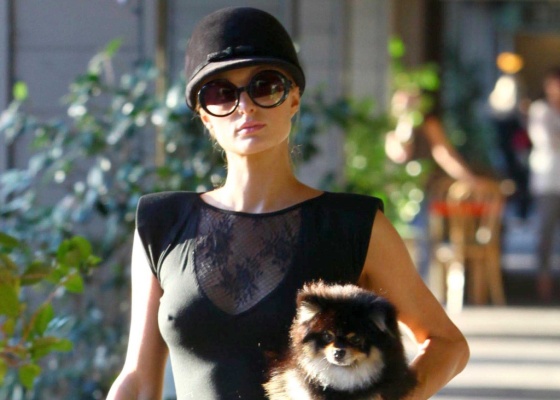Paris Hilton vai s compras em Los Angeles com seu cachorro (08/10/2010)