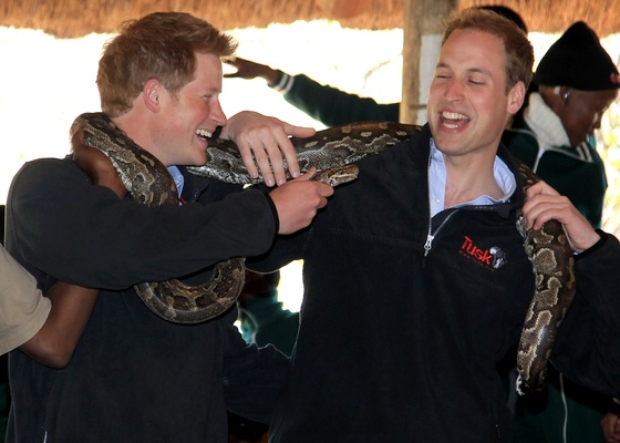 Príncipes Harry e William seguram uma píton africana durante visita ao centro de educação Mokolodi, em Gaborone, Botswana (15/6/2010)