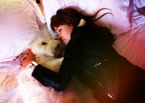 A atriz Olivia Wilde e seu cachorro, em foto publicada no Twitter