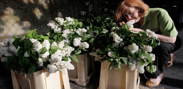 Florista trabalha em arranjo que será usado na decoração da Abadia de Westminster durante o casamento real (27/04/2011) - Getty Images
